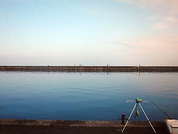 141129_1234minami.jpg(37240 byte)