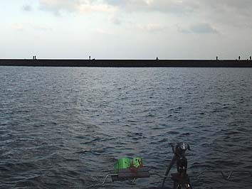 141129_1415minami.jpg(48225 byte)