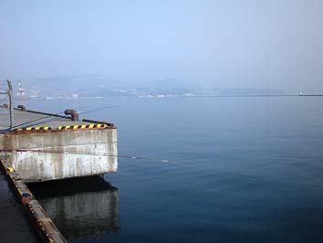150328_0803umaya.jpg(37801 byte)