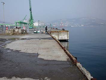 150328_0912turiza.jpg(45157 byte)