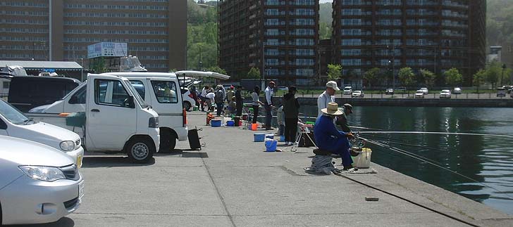 1507_1242wakatake.jpg(78204 byte)
