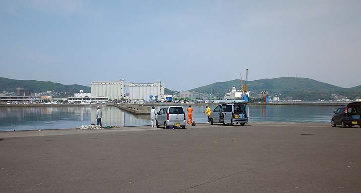 150518_1028wakatake2.jpg(54242 byte)