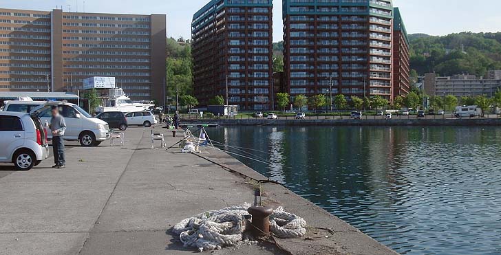 150518_1557wakatake.jpg(99876 byte)