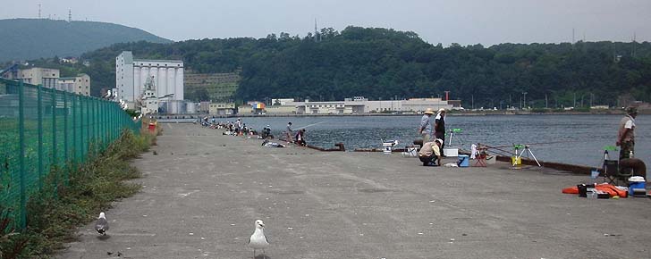 150729_1130ironai.jpg(65164 byte)