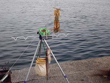 150729_1339syako.jpg(57871 byte)
