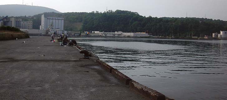 150729_1659ironai.jpg(63324 byte)
