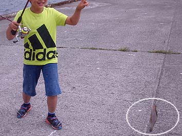 150805_1412karei.jpg(60994 byte)