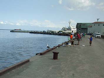 150814_1249ironai.jpg(44873 byte)