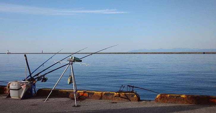 150825_1706katunai.jpg(59512 byte)