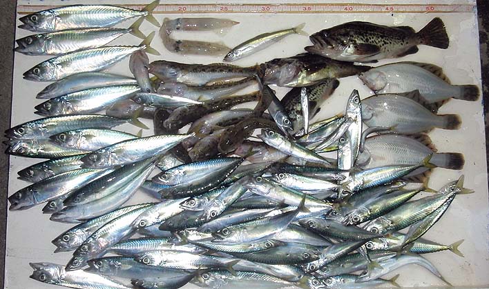 150901.jpg(125858 byte)