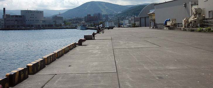 150901_1205kitahama.jpg(63120 byte)