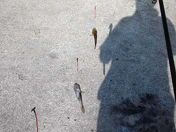 150901_1513haze.jpg(60669 byte)