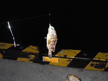 150901_1850soi.jpg(42023 byte)