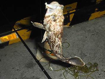 150901_1924soi.jpg(53904 byte)