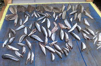 150901_kansou.jpg(67049 byte)