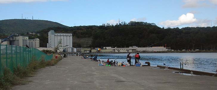 151005_1156ironai.jpg(59571 byte)