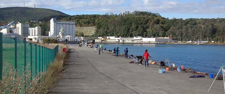 151005_1437ironai.jpg(75866 byte)
