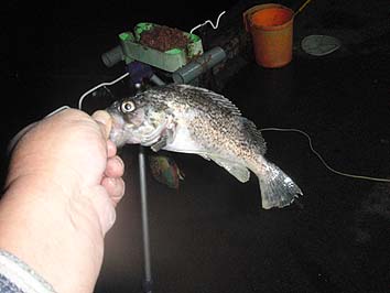 151005_1807soi.jpg(44459 byte)