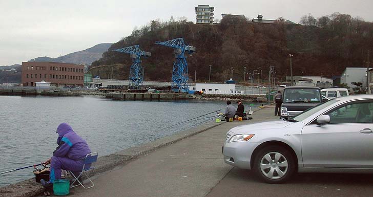 151102_1124wakatake.jpg(76319 byte)
