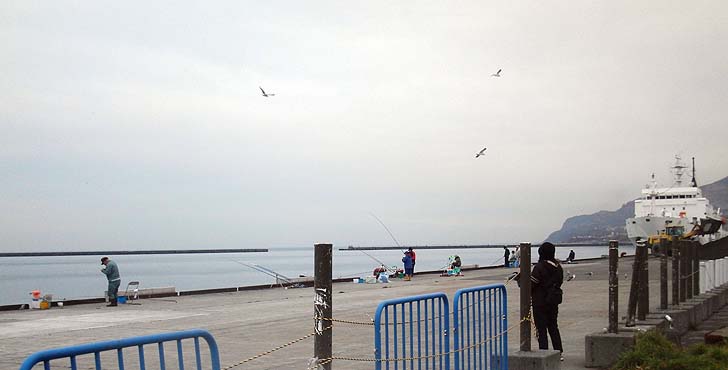 151102_1356ferry.jpg(56942 byte)