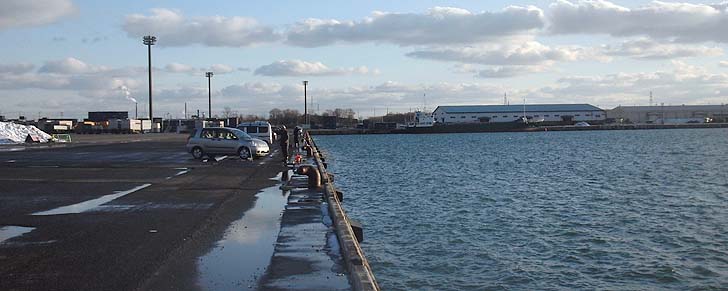 151208_1453hidari.jpg(64973 byte)