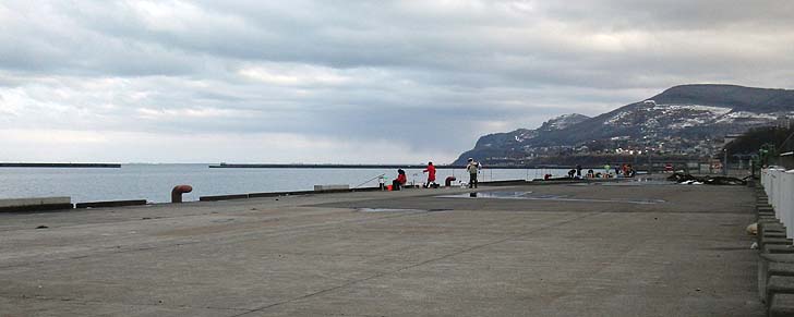 151213_1246ferry.jpg(51909 byte)