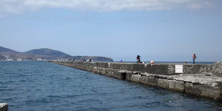160412_1203minami.jpg(62704 byte)