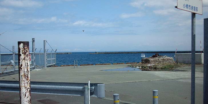 160412_1218katunai.jpg(63024 byte)
