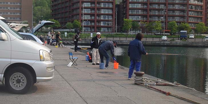 160518_1529wakatake.jpg(85644 byte)