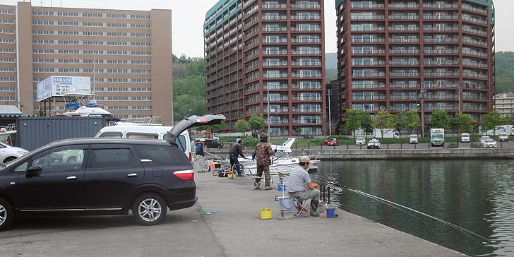 160524_1158wakatake.jpg(96570 byte)