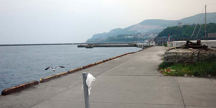 160524_1316katunai.jpg(60398 byte)