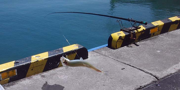 160605_1213ootika.jpg(76794 byte)