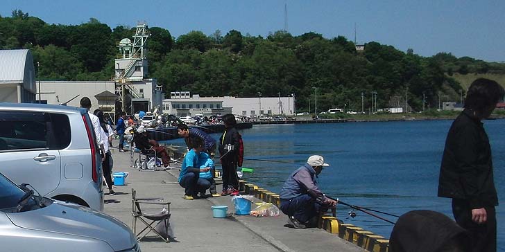 160605_1305hidari.jpg(82384 byte)