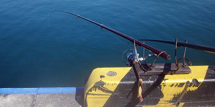 160605_1459saooki.jpg(68464 byte)