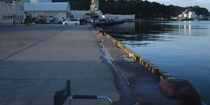 160605_1823hidari.jpg(65971 byte)