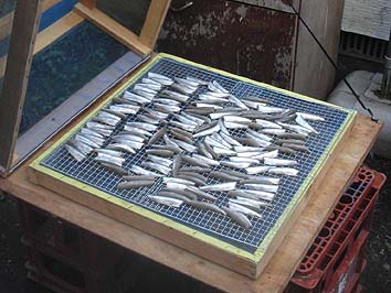 160605itiyabosi.jpg(66293 byte)