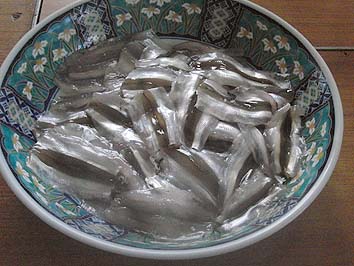 160605suduke.jpg(64005 byte)