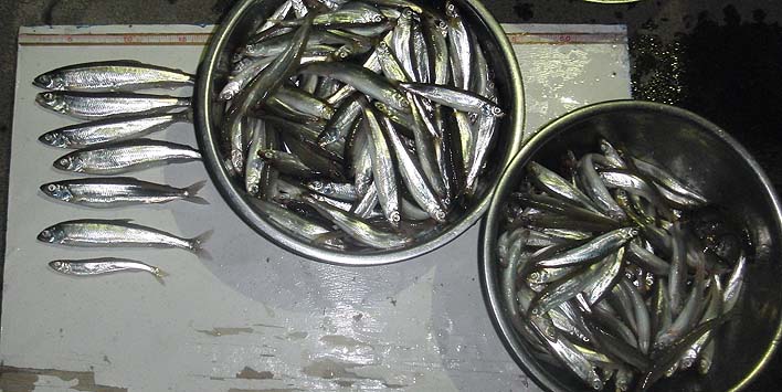 20160605.jpg(98810 byte)