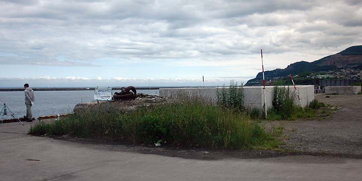 160615_1137katunai.jpg(63351 byte)