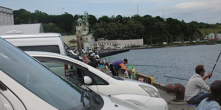 160615_1220hidari.jpg(78188 byte)