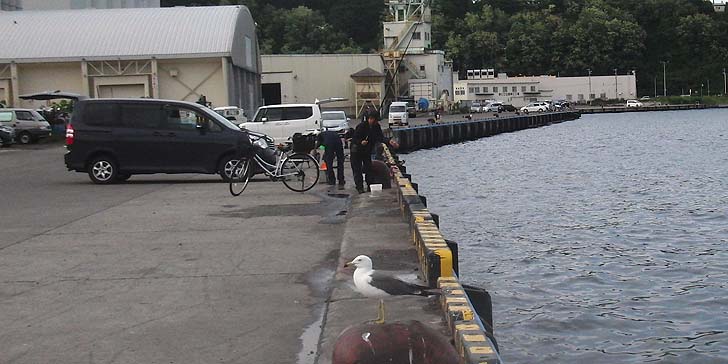 160615_1648hidari.jpg(82230 byte)