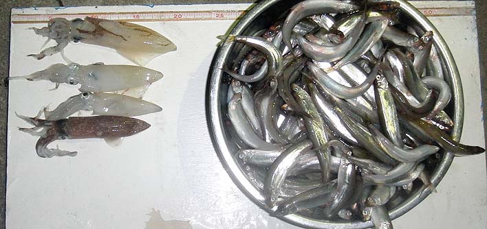 20160615.jpg(89250 byte)