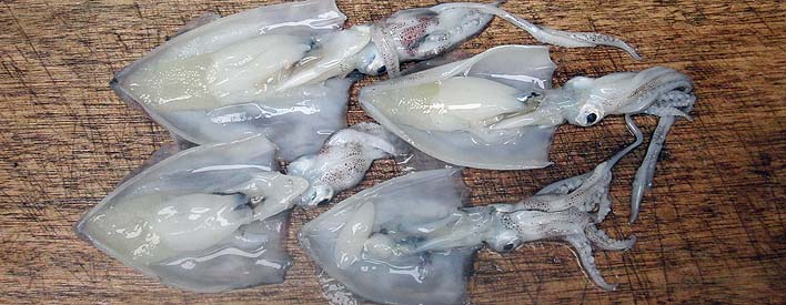 20160615_2.jpg(83620 byte)