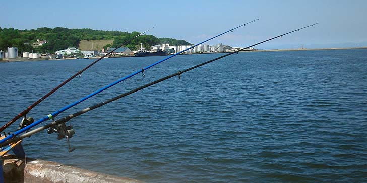 160723_1358nagesao.jpg(80803 byte)