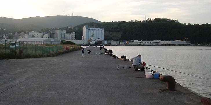 160723_1840hidari.jpg(61901 byte)