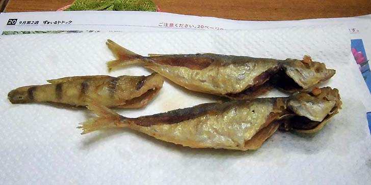 160920_ajihaze.jpg(68724 byte)