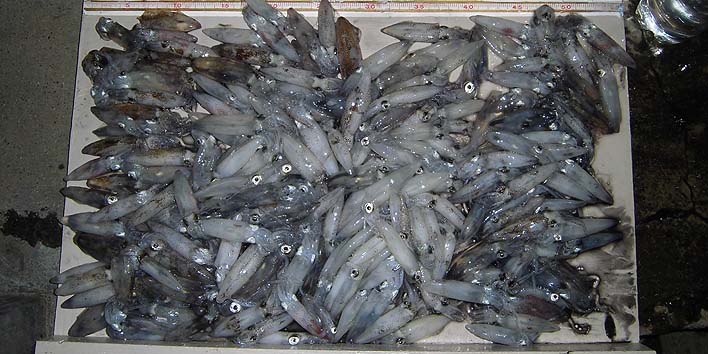 160927_1.jpg(99398 byte)