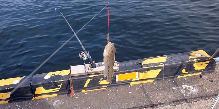 160927_1351haze.jpg(88080 byte)