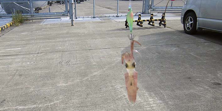 160927_1411mameika.jpg(83944 byte)