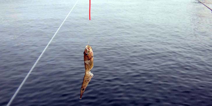 160927_1435haze.jpg(55107 byte)